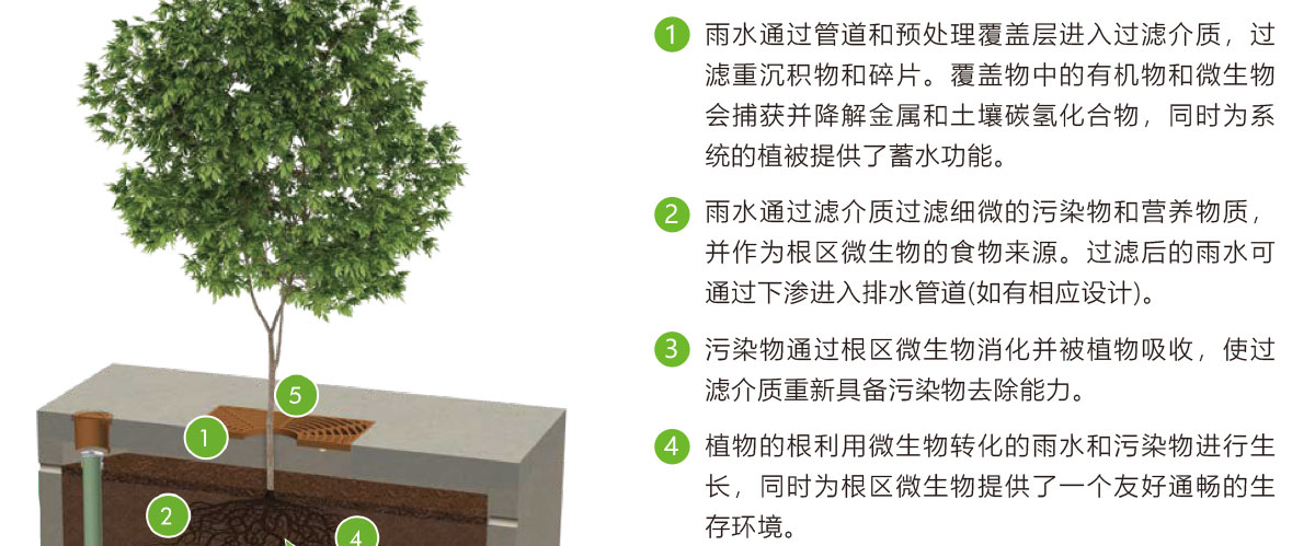 低影響開發理念綠色設施,LID理念綠色設施,智慧雨洪管理方案,智慧雨洪管理系統,華南泵業